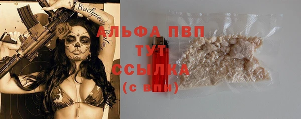 сатива Балахна