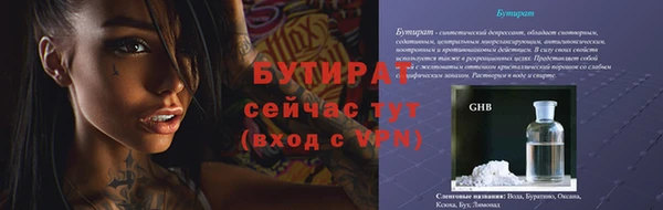 сатива Балахна