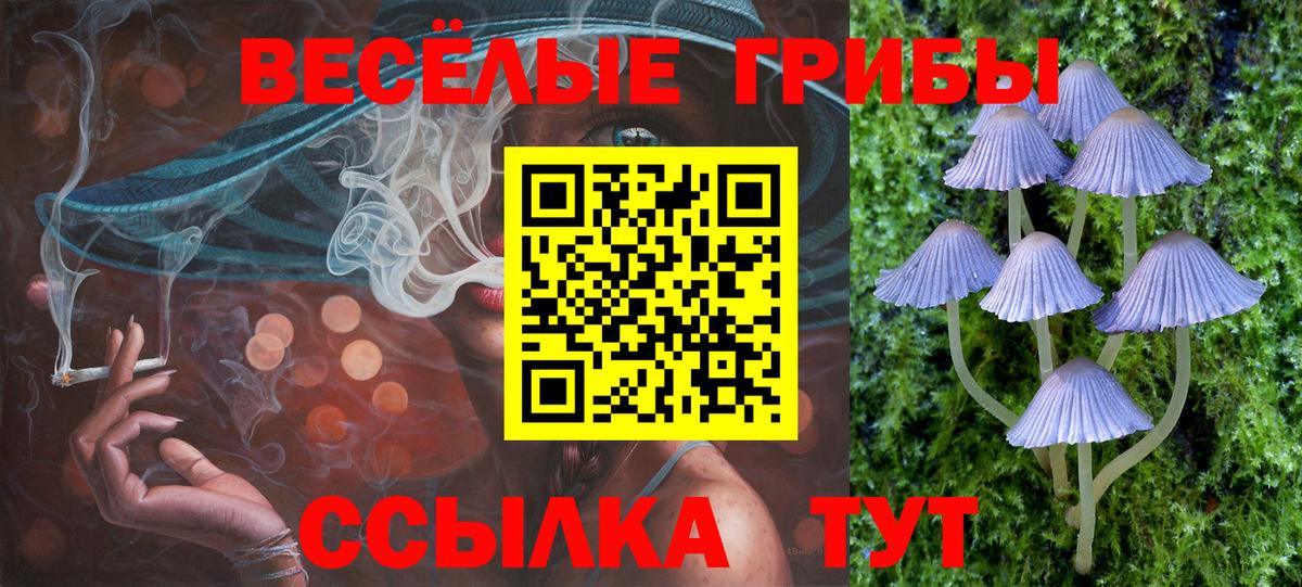 Гашиш Кушва