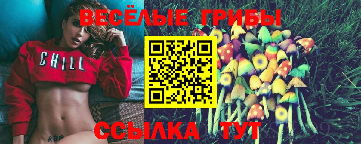 Кушва  Галлюциногенные грибы Cubensis  Вход с VPN  Псилоцибиновые грибы GOLDEN TEACHER 