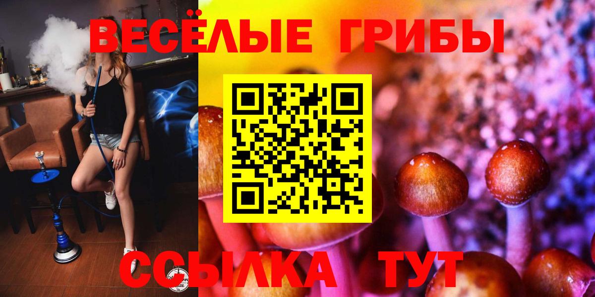 Галлюциногенные грибы MAGIC MUSHROOMS Кушва